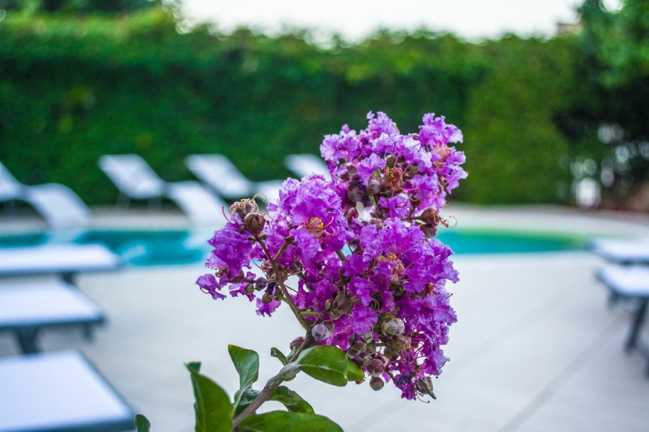 Villa Marylu' Ischia Exterior foto